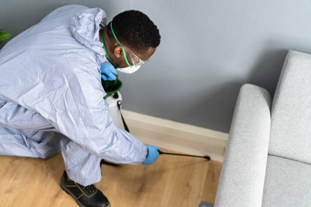 Best Residential Pest Control  in Lowell, NC